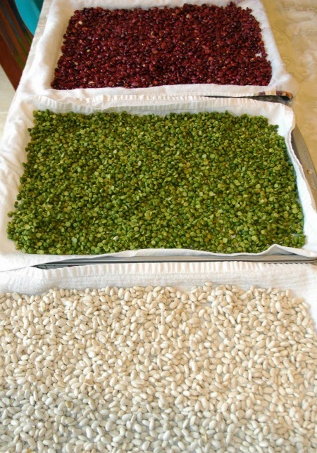 All Natural Christmas Sensory Bin