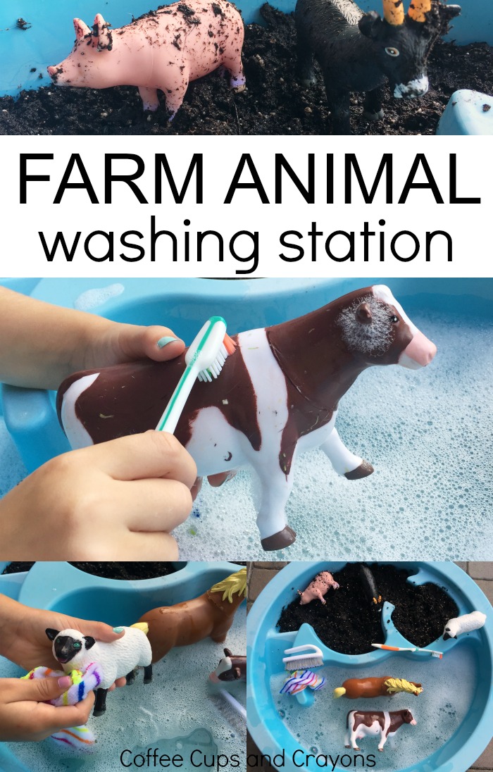 Washing Farm Animal Sensory Bin