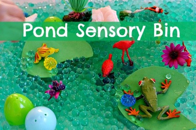 Pond Life Sensory Bin