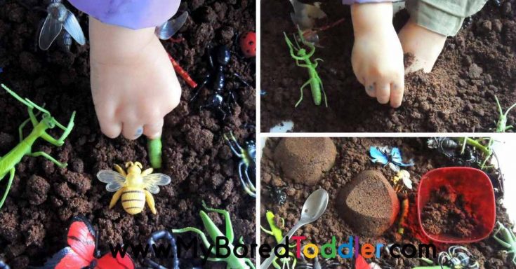 Insects Sensory Bin - Taste Safe