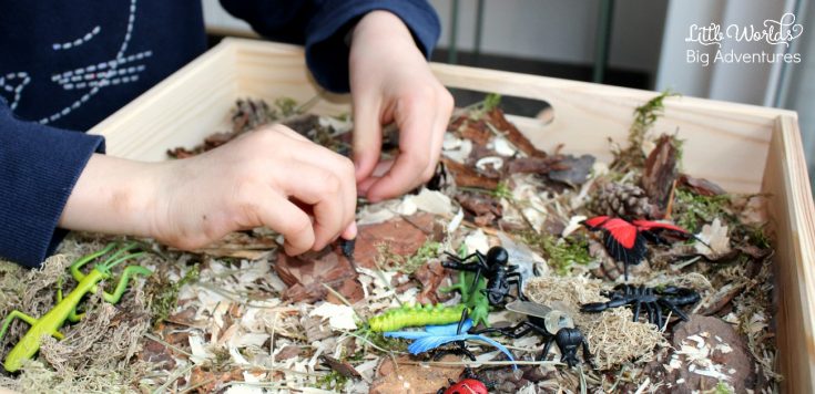 Bug Discovery Sensory Bin