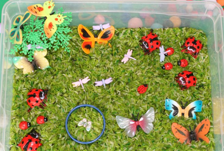Bugs and Spring Themed Activity