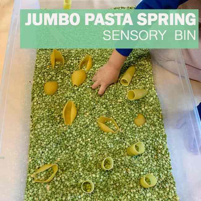 Jumbo Pasta Spring Sensory Bin for Toddlers
