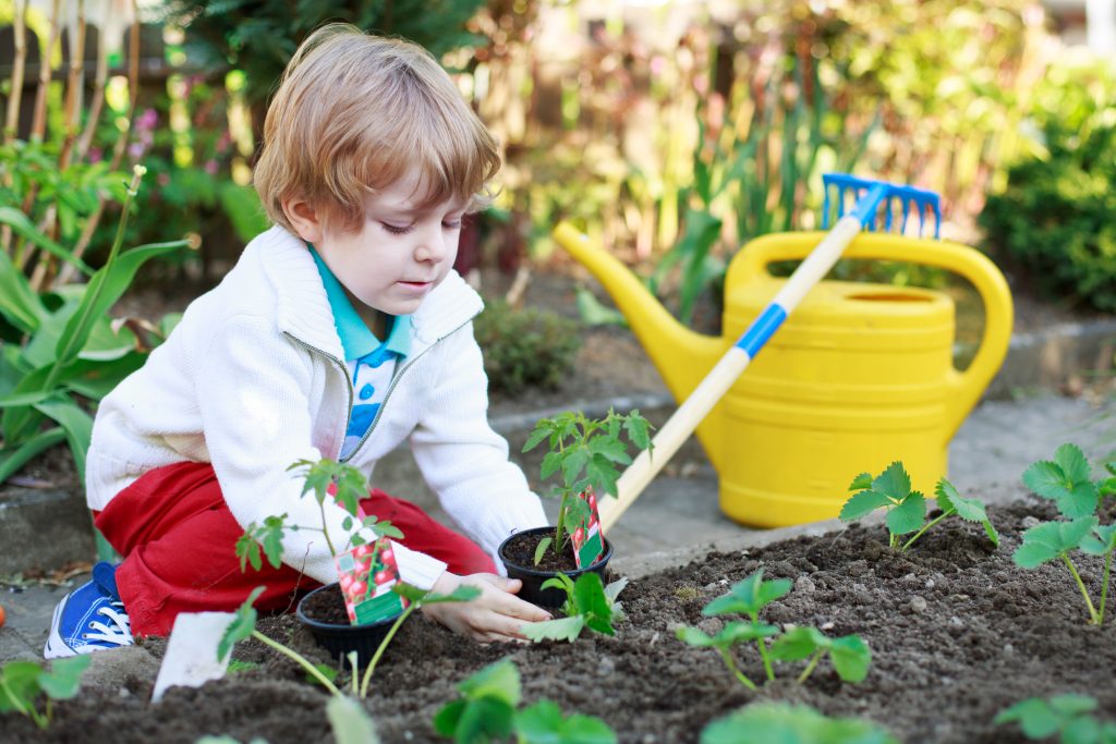 Toddler planting in vegetable garden